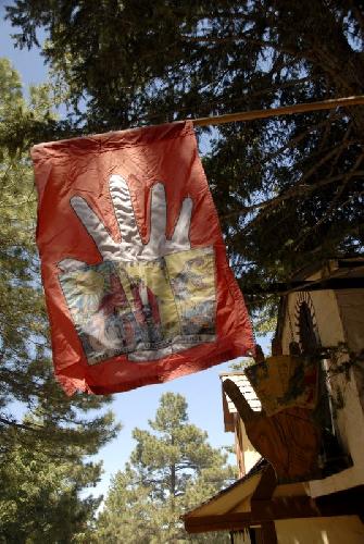 Card #511 – Oracle Consultation