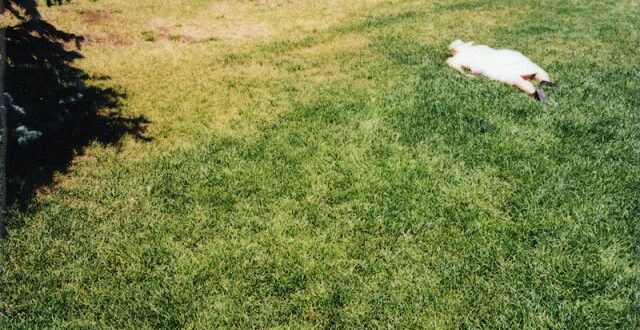 Overcoming Negative Inertia