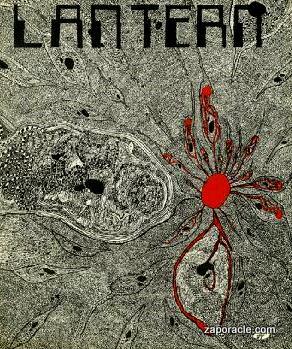 Card #229 – Parasite Lantern