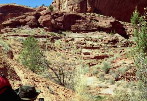 Pathfinding and Day-Mapping