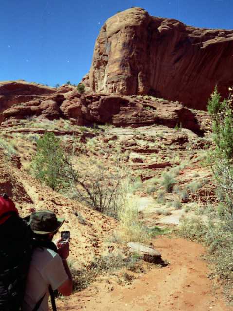 Card #341 – Pathfinding and Day-Mapping