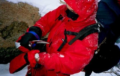 Card #584 – Perseverance