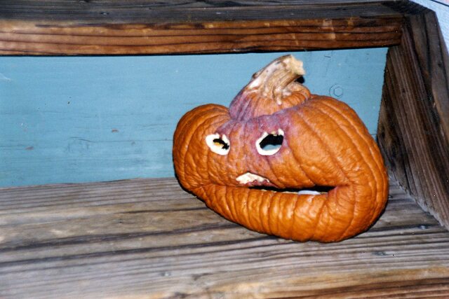 Card #65 – Persona Melt Down