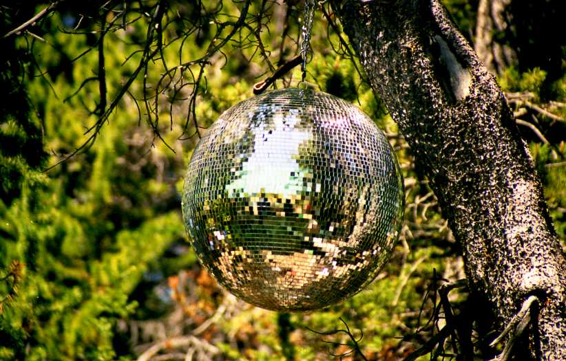 Card #336 – Projection World