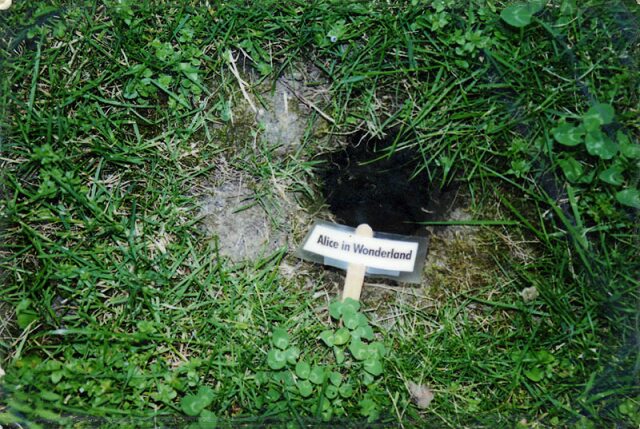 Card #77 – Rabbit Hole