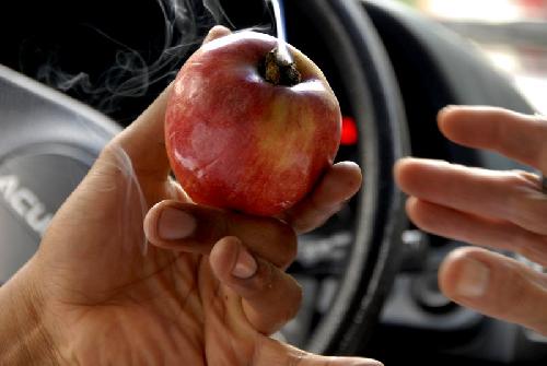 Card #504 – Reaching for the Forbidden Fruit