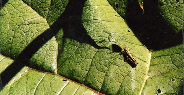 Ready to Travel Beneath the Surface