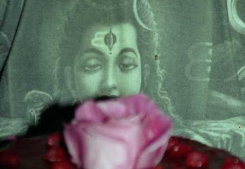 Rebirth of the Feminine