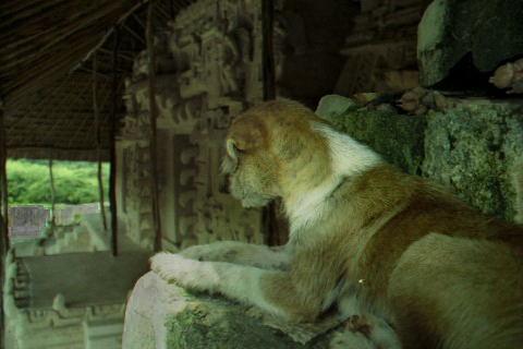 Card #401 – Reflecting on the Past