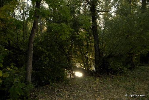 Card #606 – Seeing the Hidden Light