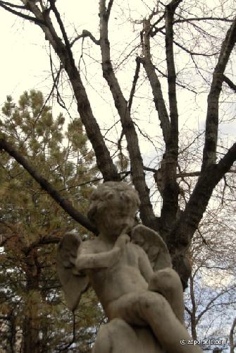 Card #607 – Silent Light, Secret Light