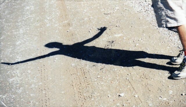 Card #90 – Soaring Shadow