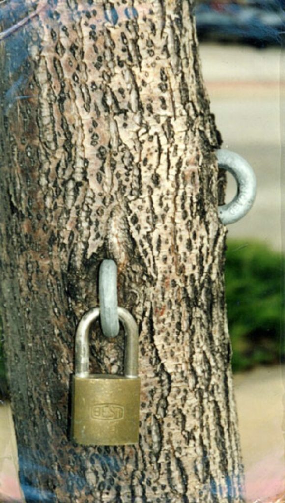 Card #249 – Soul Imprisoned