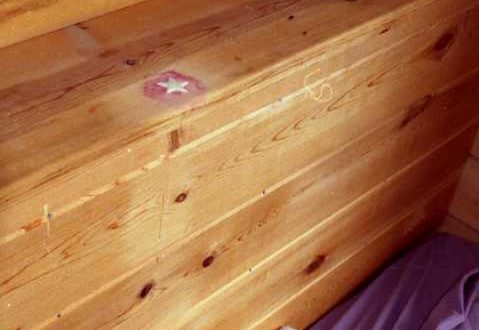 Survival of the Soul