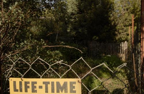 Card #353 – Temporal Fencing and Lifefields