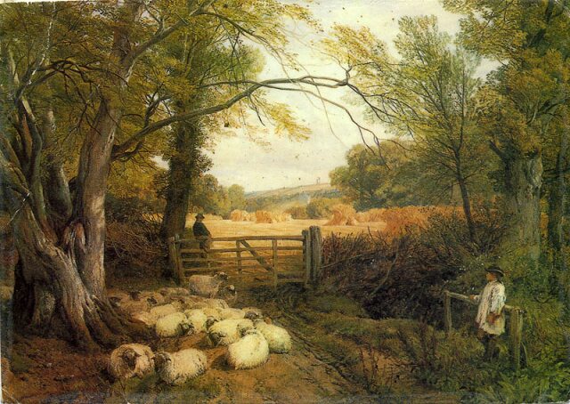 Card #276 – Tending your Flock