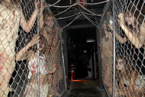 Card #521 – Threshold Guardians