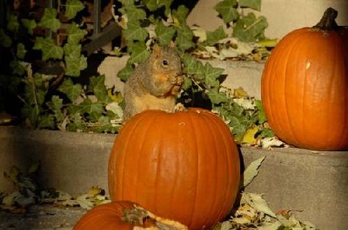 Thriving on the Present Resources