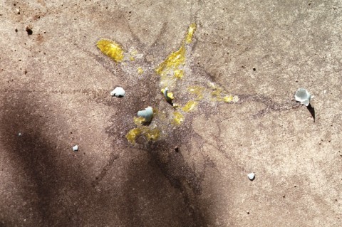 Card #287 – Wasted Potential