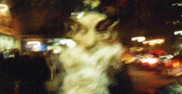 Wizard out in the World