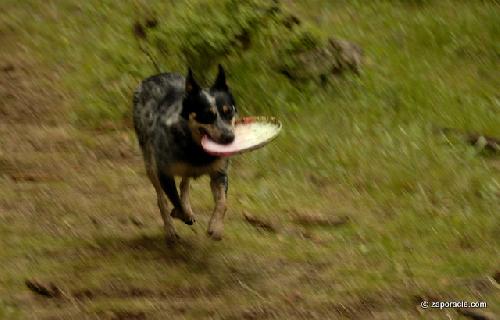 Card #604 – Working with Momentum