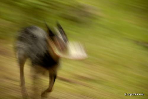 Card #603 – Working with  Momentum