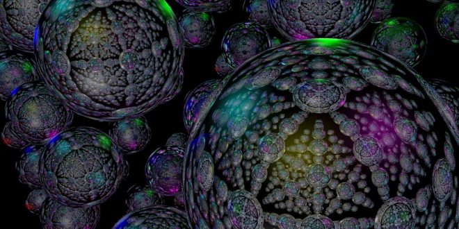 You are a Jewel in Indra's Net