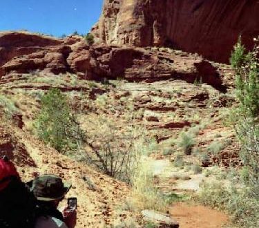 Pathfinding and Day-Mapping