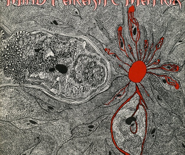 https://zaporacle.agentmage.com/textpattern/article/9/a-mind-parasite-encounter-in-dune-