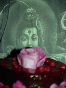 Born Under a Blood Red Moon-Metamorphosis of the Feminine in the Dreams of Young Women