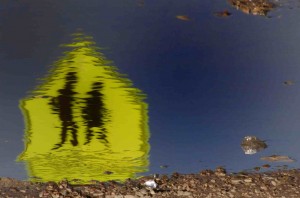 Lessons for an Entity Incarnating as a Mammal