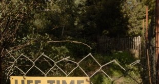 Temporal Fencing and Life Fields